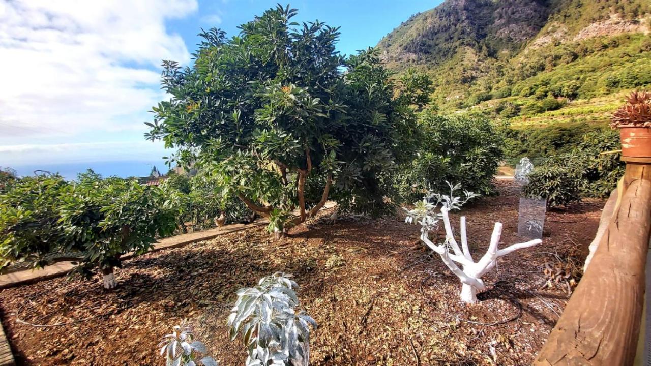 Casa Rural La Resbala - Casa Verde Ля Оротава Экстерьер фото